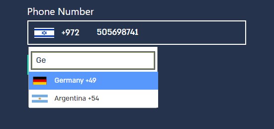 צילום מסך - שדה חיפוש בתוך שדה בחירת מדינה
