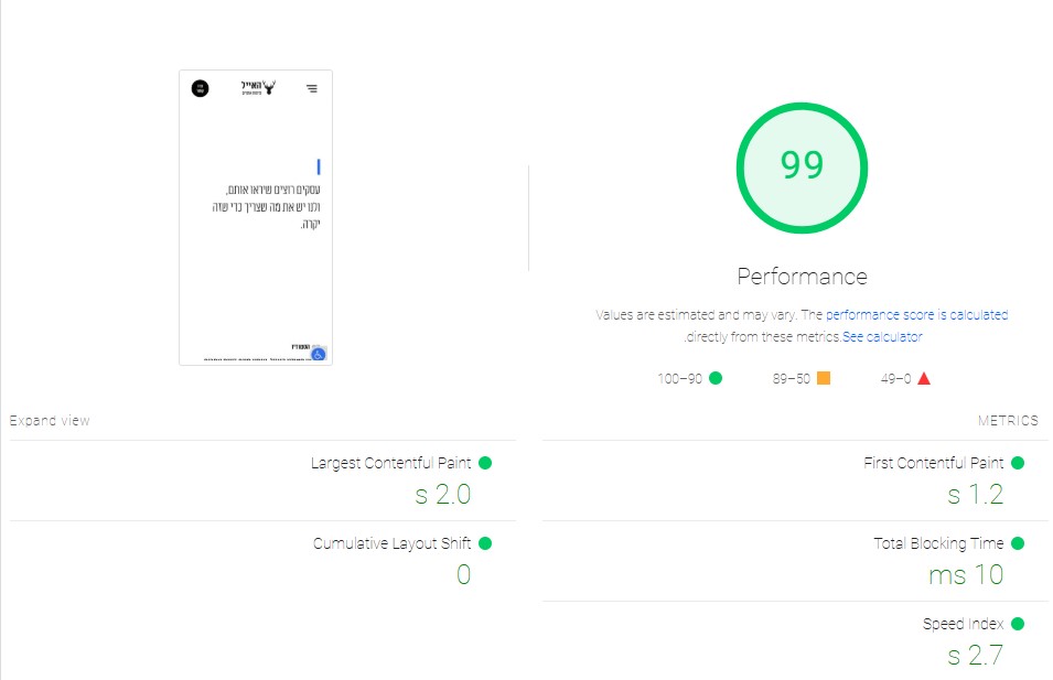 תוצאות מהירות אתר ב Google page speed insights - 99 נקודות